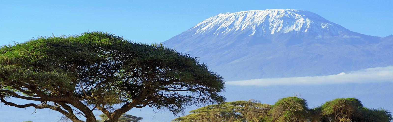 Kilimanjaro, Tanzania © Moiz, Adobe Stock